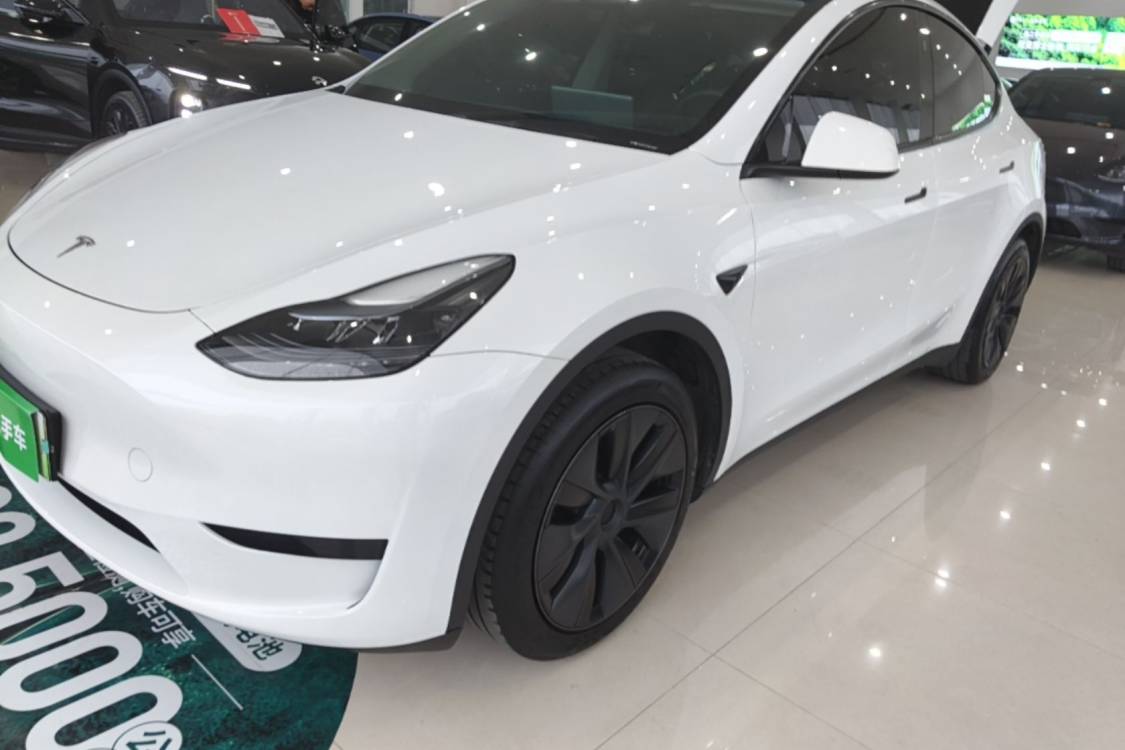 Tesla Model Y 2024 #24 Tesla Model Y 2024 car image #24