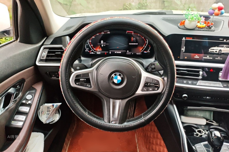 BMW 3 Series 2020 car image #12