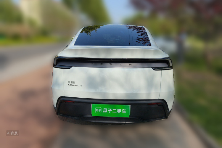 Tesla Model Y 2025 car image #6