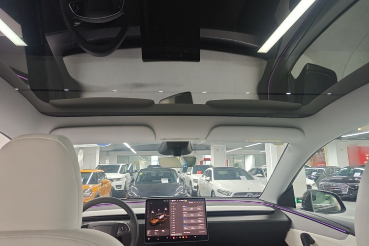 Tesla Model Y 2025 car image #18
