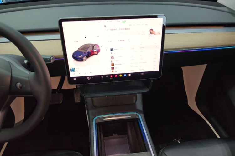 Tesla Model Y 2022 car image #13