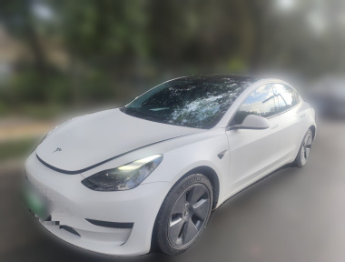 Tesla Model 3 2023 Tesla Model 3 2023 car image