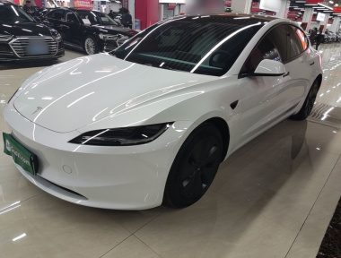 Tesla Model 3 2024 car image 