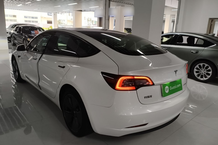 Tesla Model 3 2021 immagine di auto #5