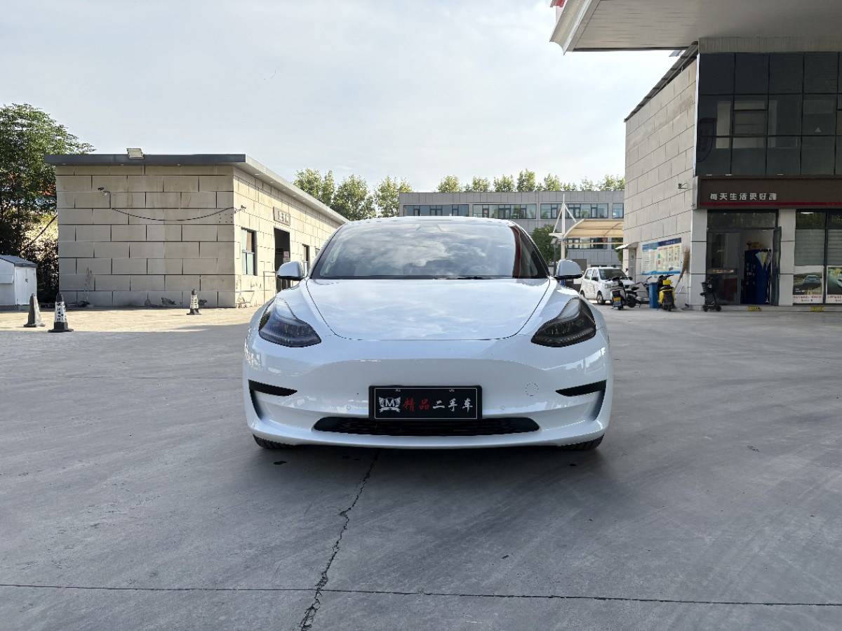Tesla Model 3 2021 car image #2