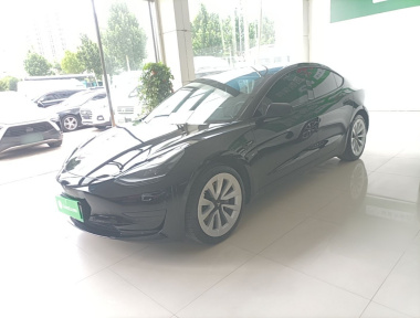 Tesla Model 3 2023 Tesla Model 3 2023 car image