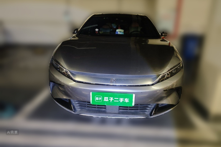 BYD Han 2022 immagine di auto #3