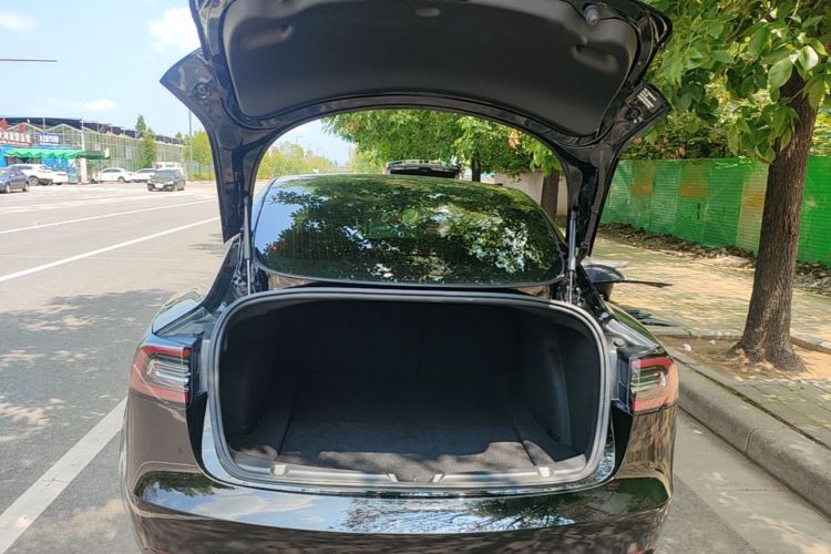 Tesla Model 3 2020 #21 Tesla Model 3 2020 car image #21