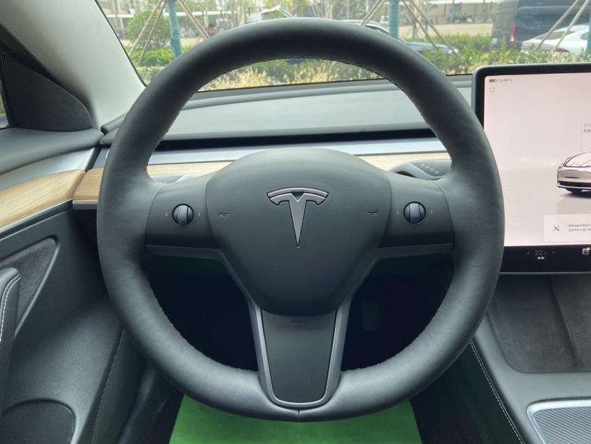 Tesla Model 3 2022 imagem de carro #14