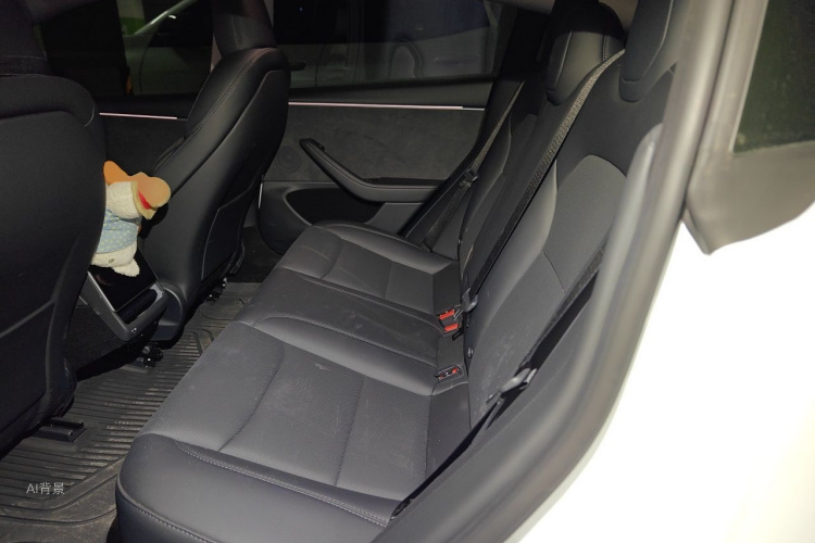 Tesla Model 3 2025 car image #19