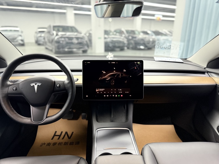 Tesla Model 3 2022 car image #6