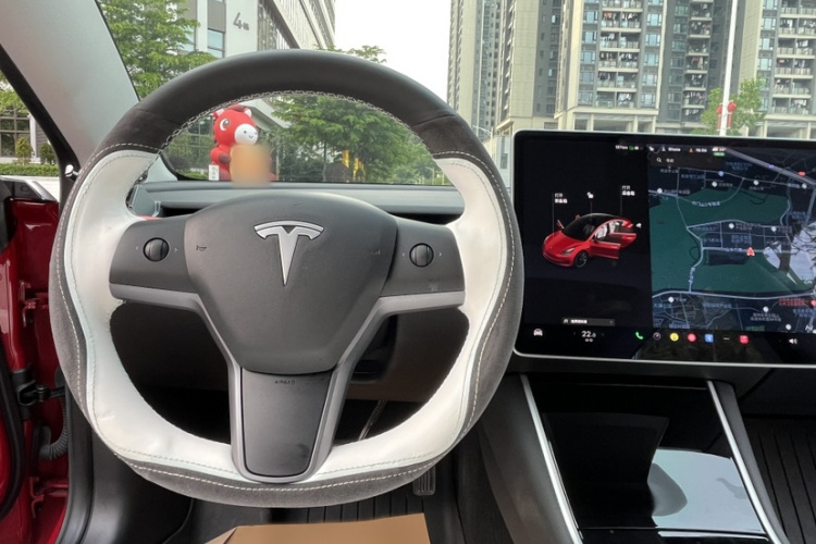 Tesla Model 3 2020 car image #15
