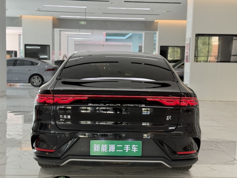 BYD Han 2024 #8 BYD Han 2024 imagen de coche #8