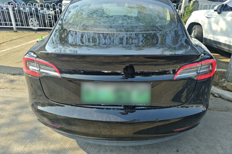 Tesla Model 3 2021 #6 Tesla Model 3 2021 car image #6
