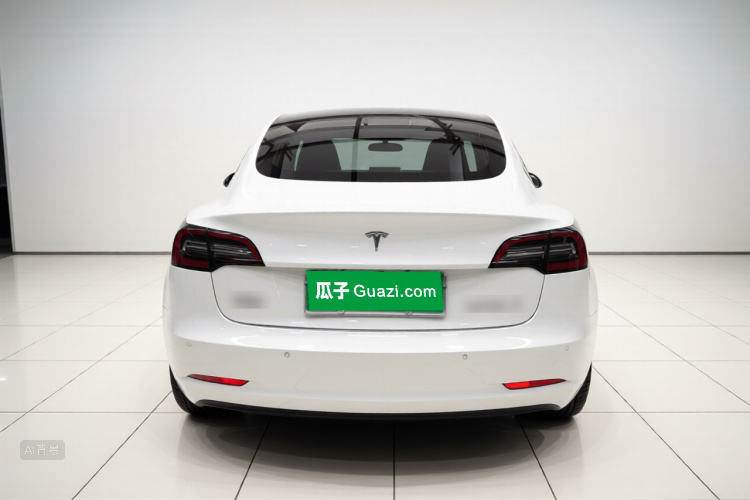 Tesla Model 3 2021 car image #4
