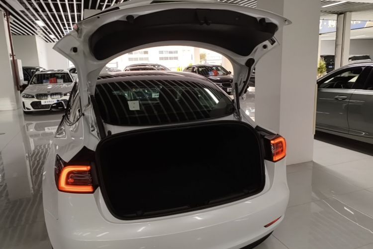 Tesla Model 3 2021 immagine di auto #19