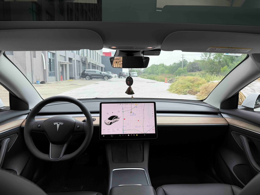 Tesla Model 3 2021 #5 Tesla Model 3 2021 car image #5