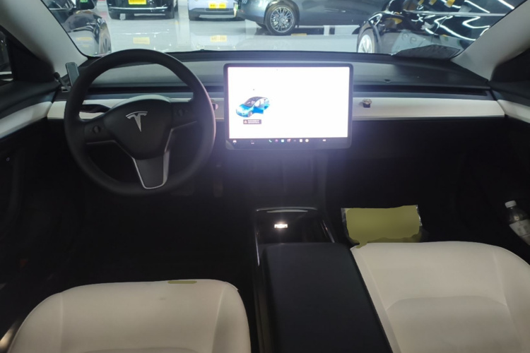 Tesla Model 3 2021 #11 Tesla Model 3 2021 car image #11