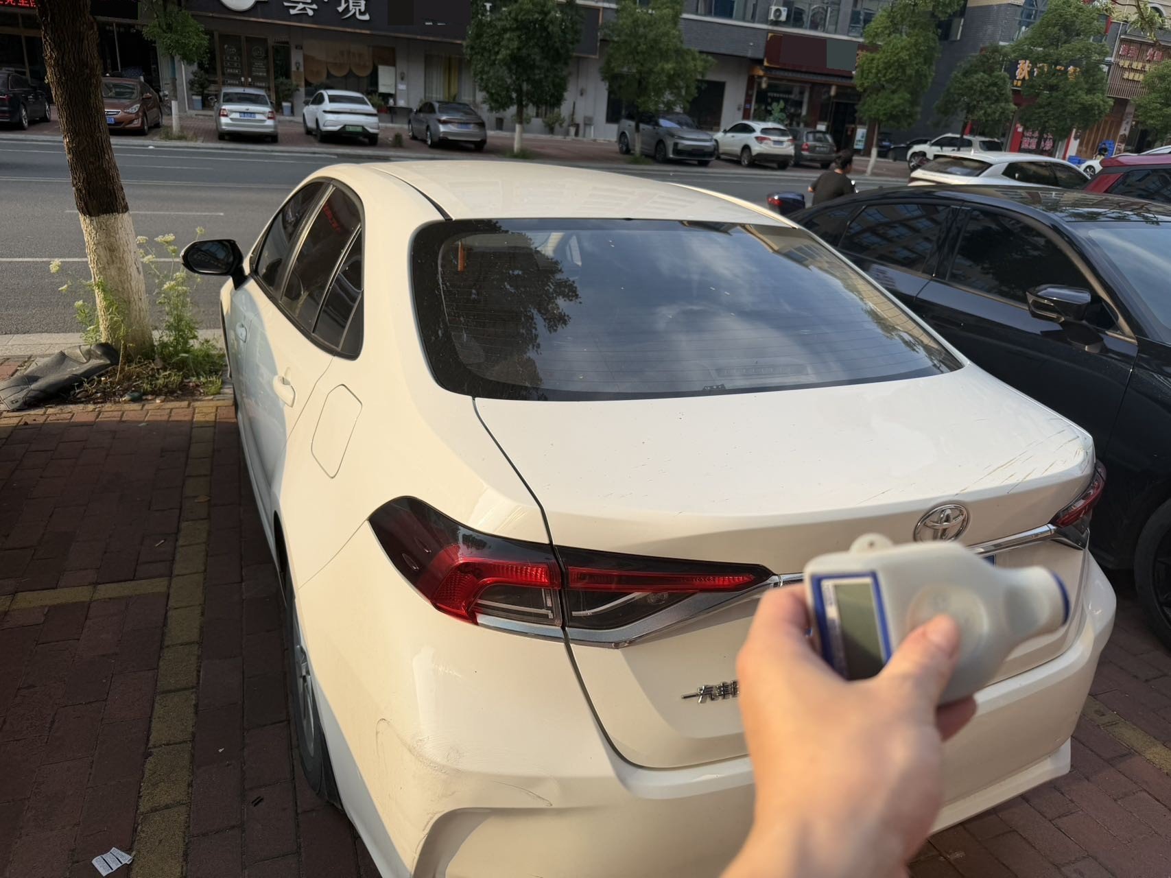 Toyota Corolla 2022 imagen de coche #6