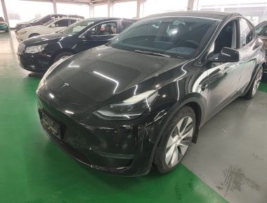 Tesla Model Y 2022 Tesla Model Y 2022 car image