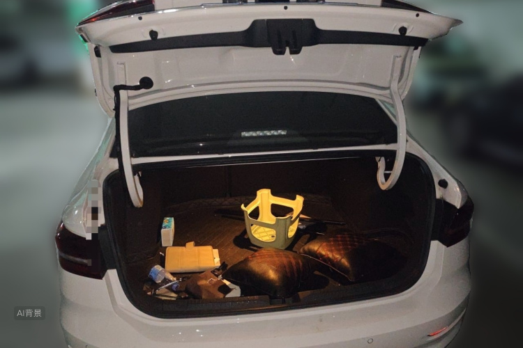 Volkswagen Lavida 2022 car image #21