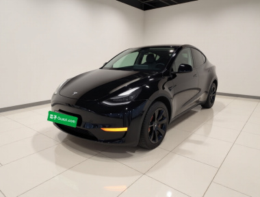 Tesla Model Y 2022 Tesla Model Y 2022 car image