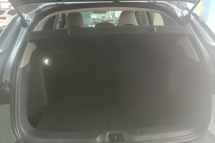 BYD Yuan Plus 2024 car image #19