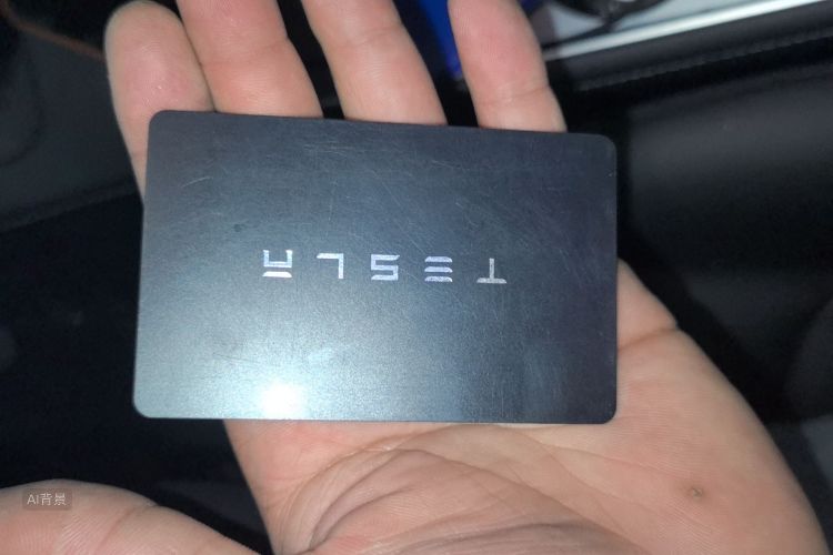 Tesla Model Y 2021 car image #10