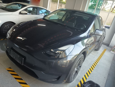 Tesla Model Y 2024 Tesla Model Y 2024 car image