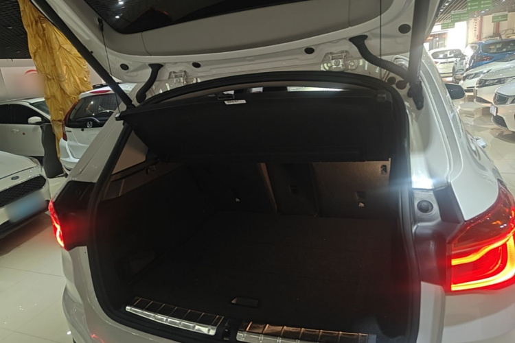 BMW X1 2018 car image #19
