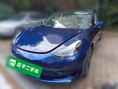 Tesla Model 3 2021 Tesla Model 3 2021 صورة سيارة