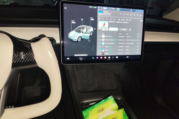 Tesla Model Y 2021 #15 Tesla Model Y 2021 car image #15