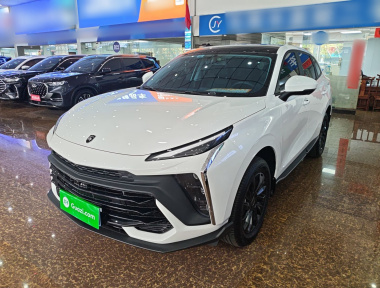 Forthing T5 EVO 2024 immagine di auto 