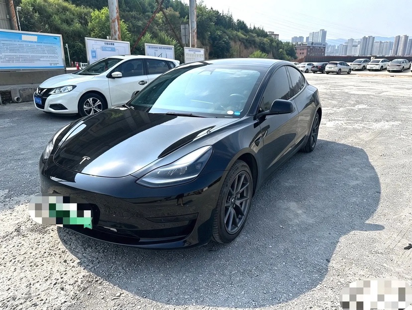 Tesla Model 3 2022 car image 