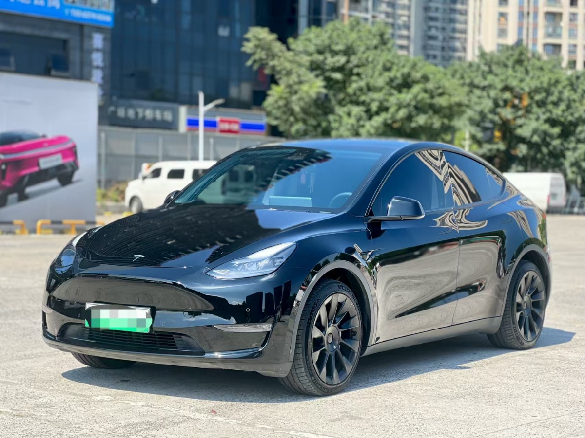 Tesla Model Y 2021 Tesla Model Y 2021 car image