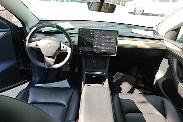 Tesla Model Y 2021 car image #10