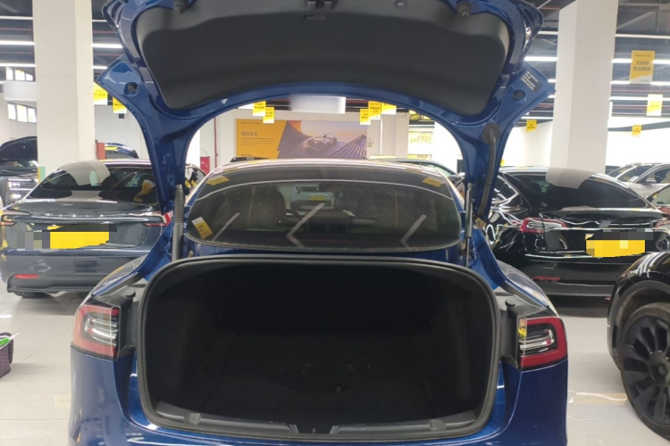 Tesla Model 3 2021 #21 Tesla Model 3 2021 car image #21