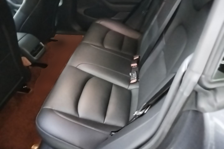 Tesla Model 3 2022 imagem de carro #17