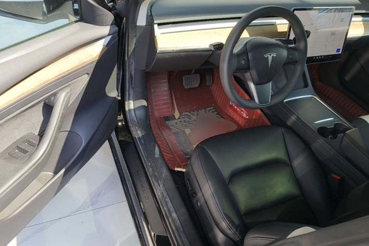 Tesla Model 3 2021 car image #16