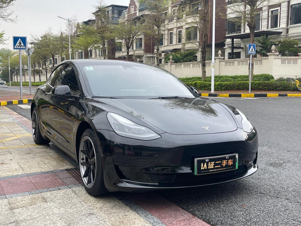 Tesla Model 3 2021 #3 Tesla Model 3 2021 car image #3
