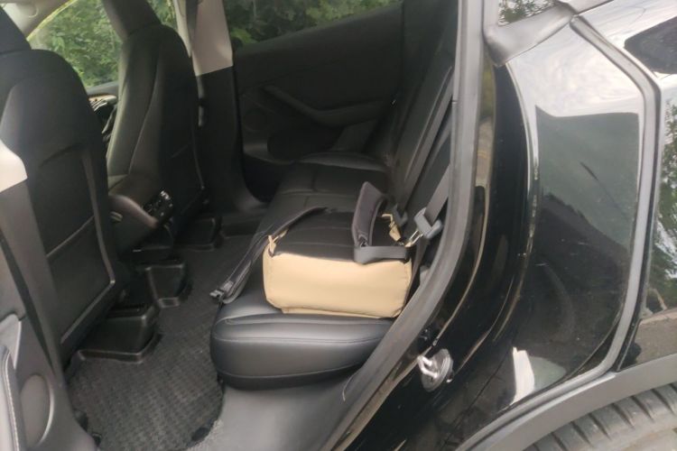 Tesla Model Y 2021 car image #14