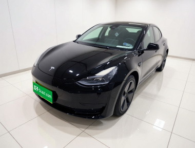 Tesla Model 3 2023 Tesla Model 3 2023 car image