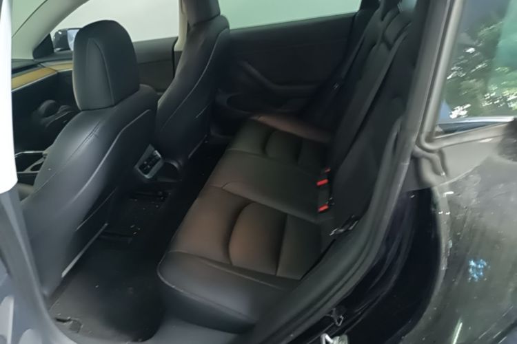 Tesla Model 3 2022 car image #17