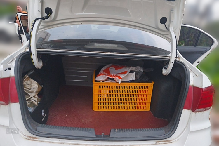 Volkswagen Santana 2022 car image #21