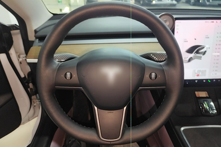 Tesla Model 3 2021 #11 Tesla Model 3 2021 car image #11