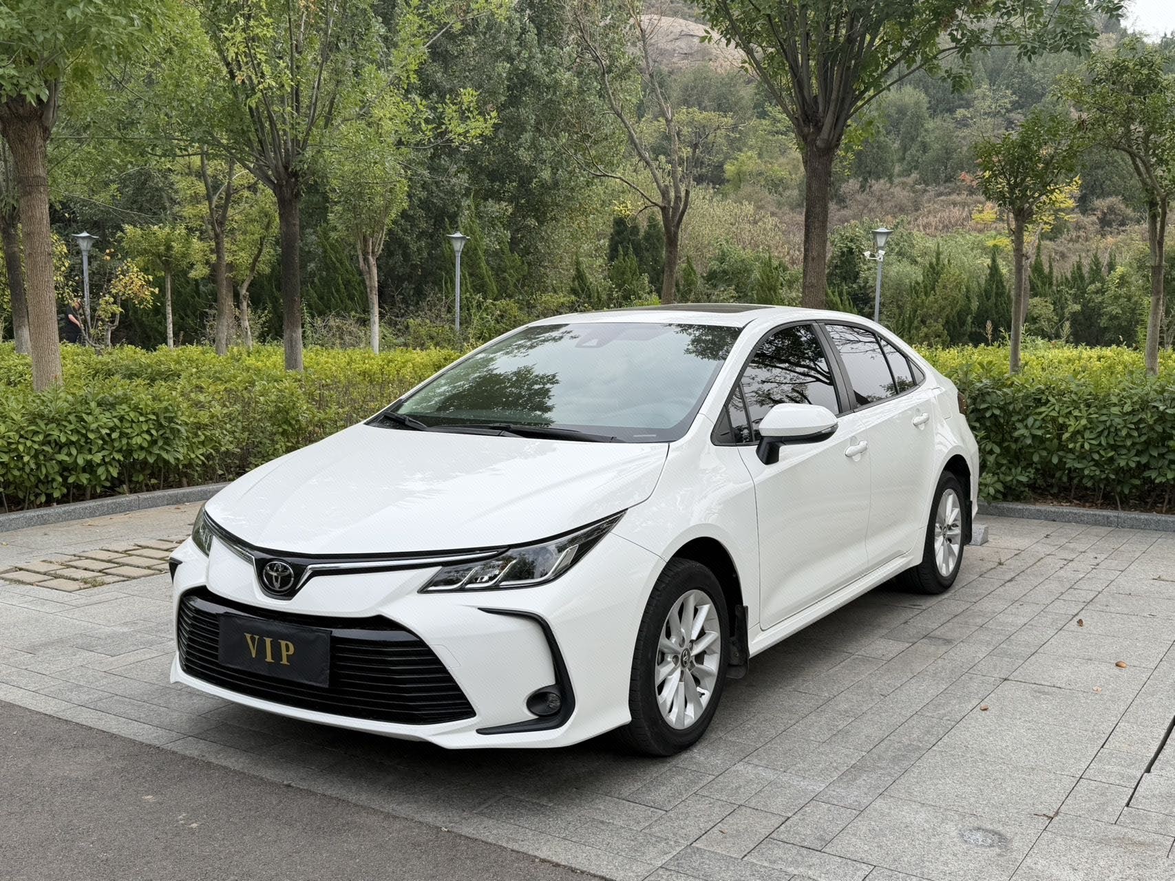 Toyota Corolla 2022 Toyota Corolla 2022 car image