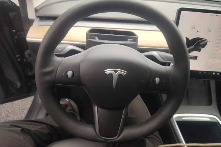 Tesla Model 3 2021 #11 Tesla Model 3 2021 car image #11