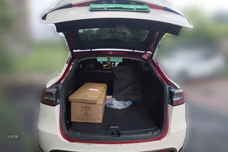 Tesla Model Y 2021 car image #21