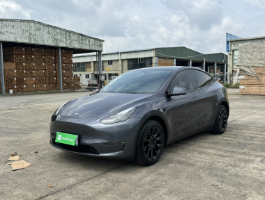 Tesla Model Y 2021 Tesla Model Y 2021 car image
