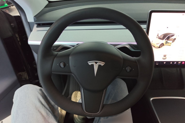 Tesla Model Y 2023 car image #15